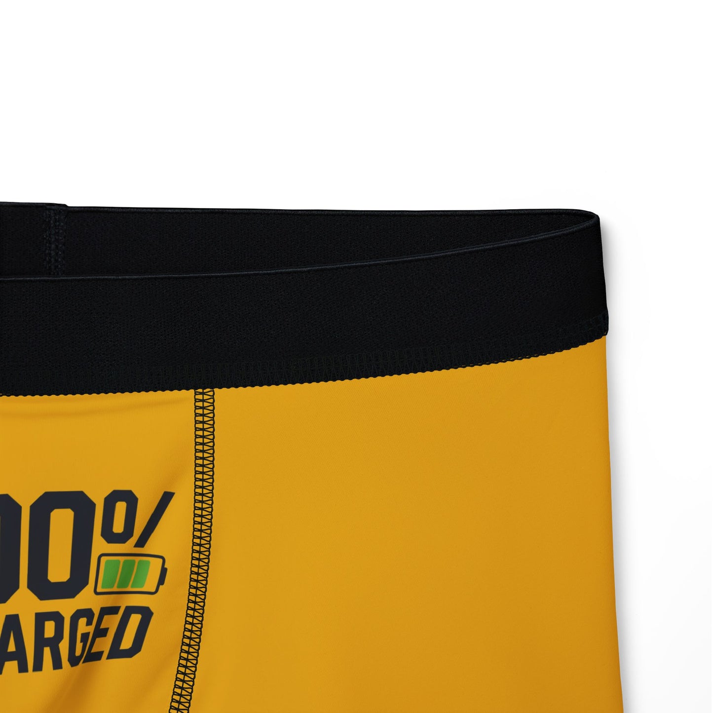 Men's boxers - 100 Percent Charged - Great Gift for Electric Bike Owners