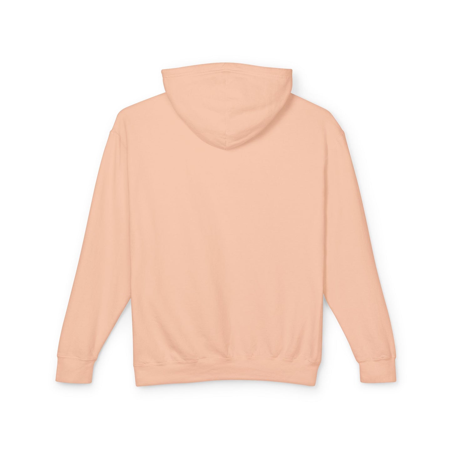 100 Percent Charged Unisex Lightweight Hooded Sweatshirt